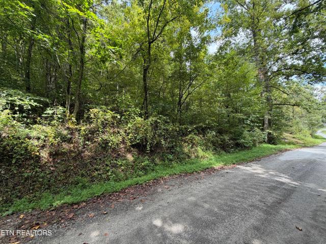 Land for sale in Yellow Springs, Sneedville