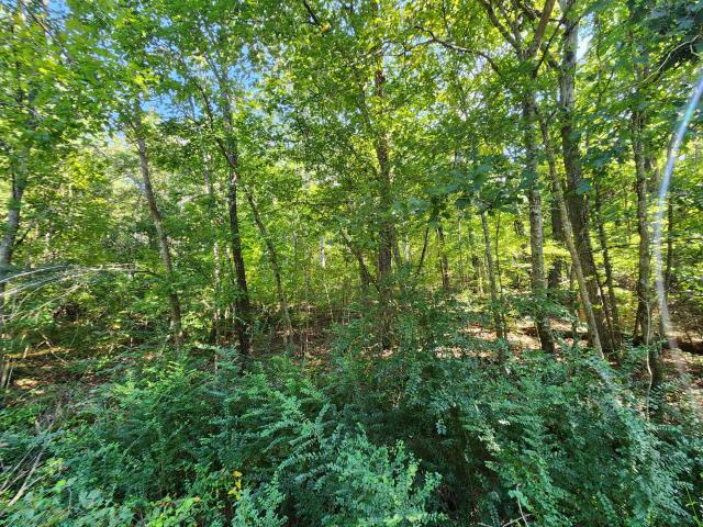 Land for sale in Tennessee