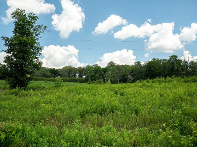 Farm for sale in Tennessee