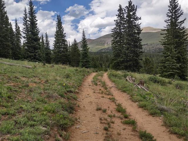 Land for sale in Colorado