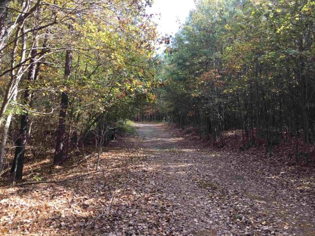 Land for sale in Bartow, Georgia