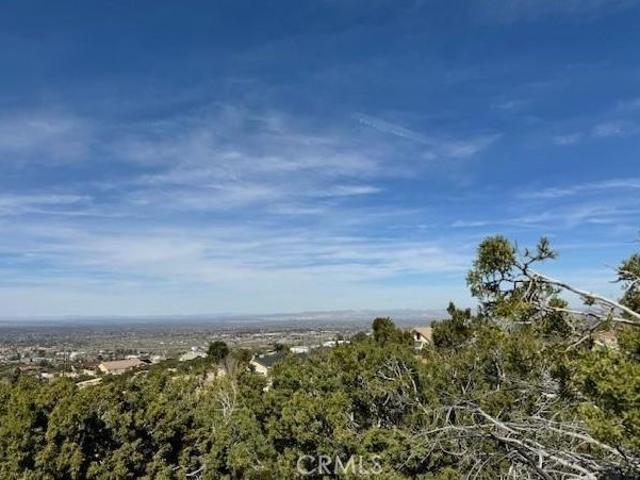 Land for sale in Pinon Hills, California