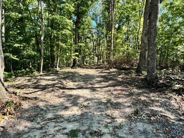 Land for sale in Tennessee