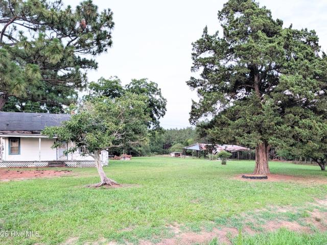Land for sale in Enfield, North Carolina