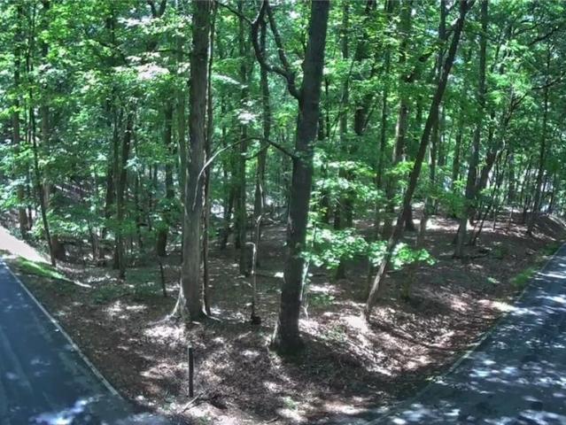 Land for sale in Pickens, Georgia
