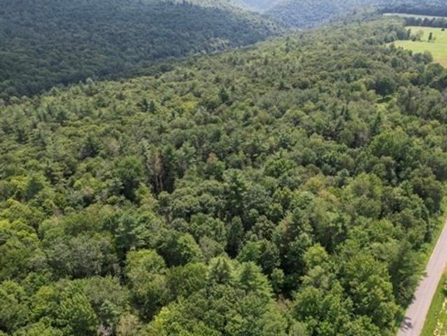 Land for sale in Florida