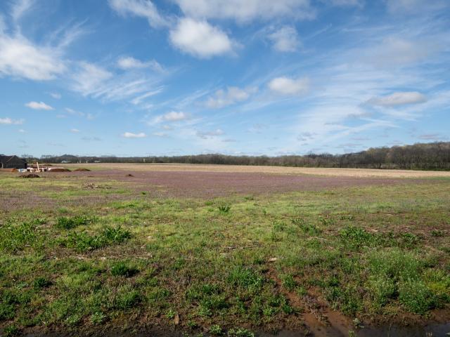 Farm for sale in Mount Pleasant, Middle Tennessee