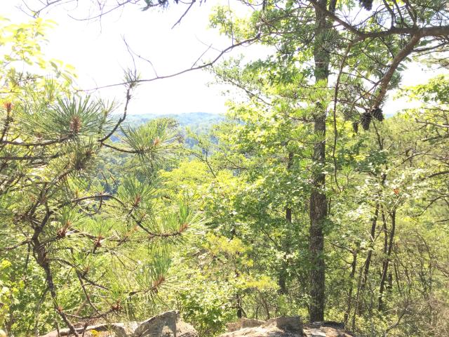 Land for sale in Powell, Kentucky
