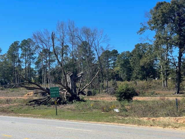 Land for sale in Eufaula, Alabama