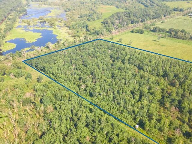 Land for sale in Dayton, Liberty County