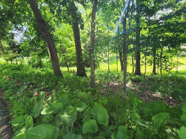 Farm for sale in Bethel Park, Pennsylvania