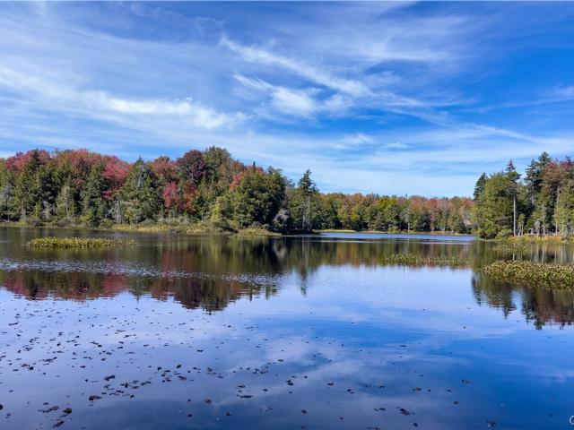 Property for sale in Oneida, New York