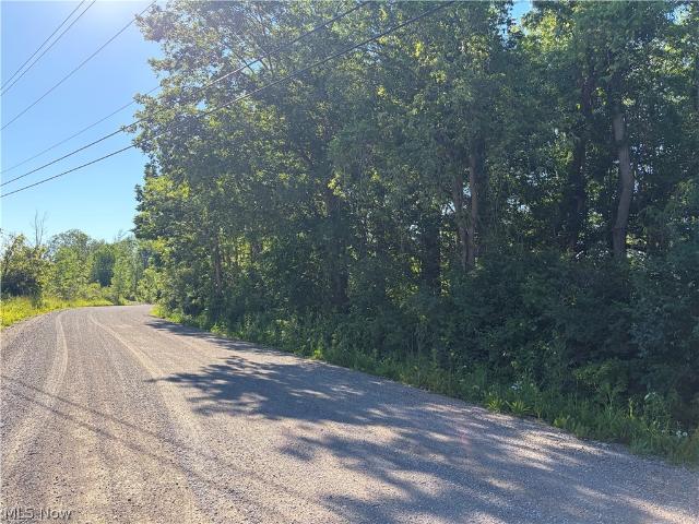 Land for sale in Conneaut, Ohio
