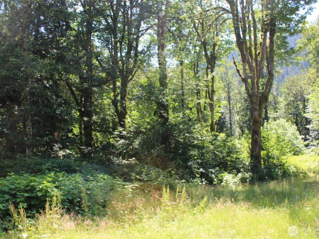 Land for sale in Mount Vernon, Washington