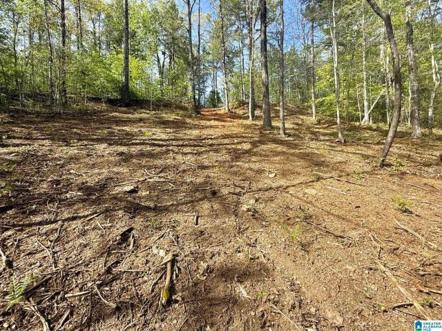 Land for sale in Wedowee, Alabama