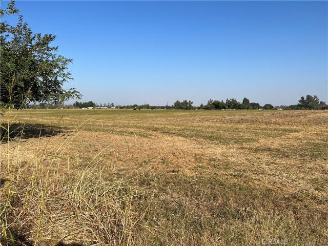 Land for sale in Glenn, California