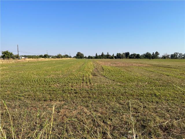 Land for sale in Glenn, California