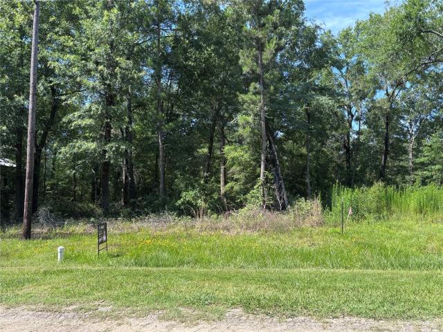 Land for sale in Polk, Texas