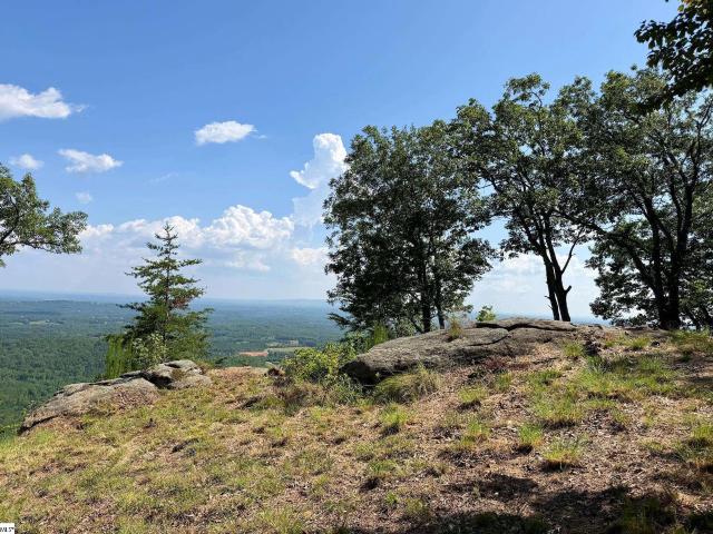 Land for sale in Landrum, South Carolina
