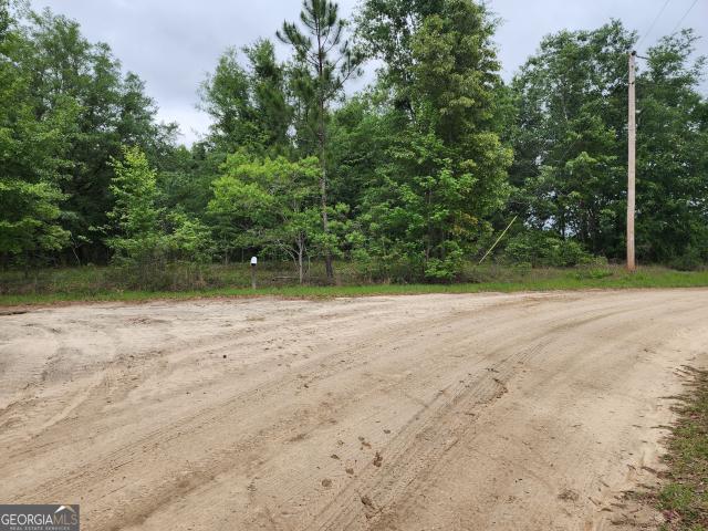 Land for sale in Donalsonville, Georgia