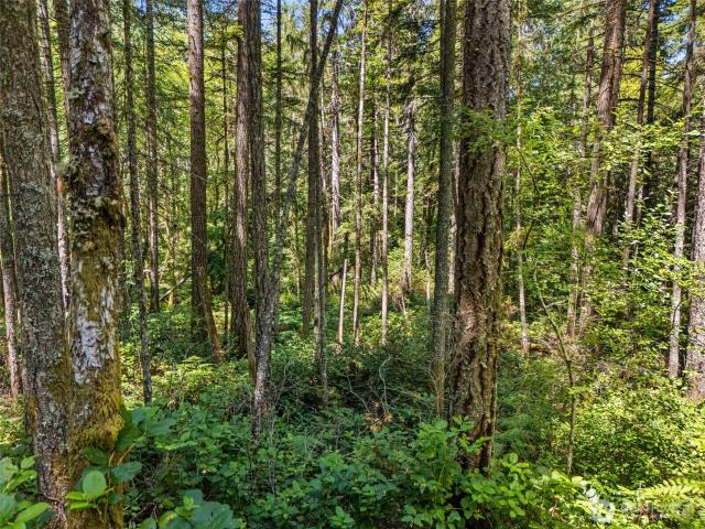 Land for sale in Union, Mason County
