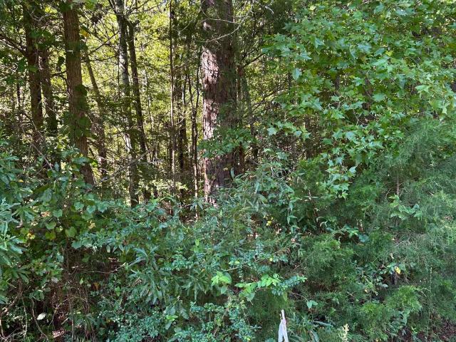 Land for sale in Union, South Carolina