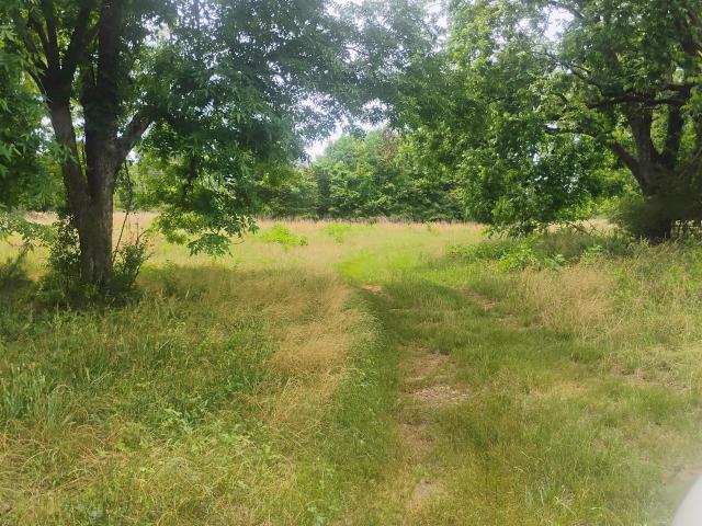 Land for sale in Baldwin, Georgia