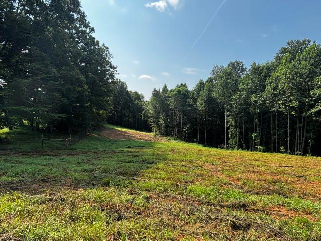 Land for sale in Albany, Kentucky