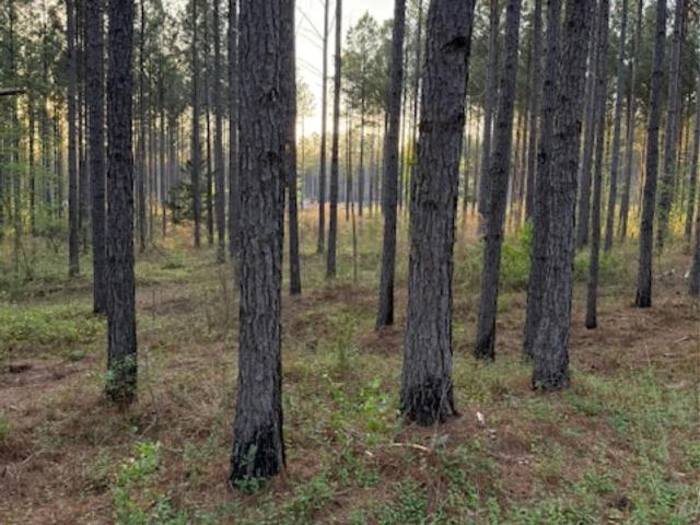 Land for sale in Lilesville, North Carolina