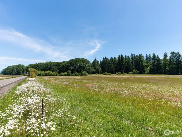 Land for sale in Toledo, Washington
