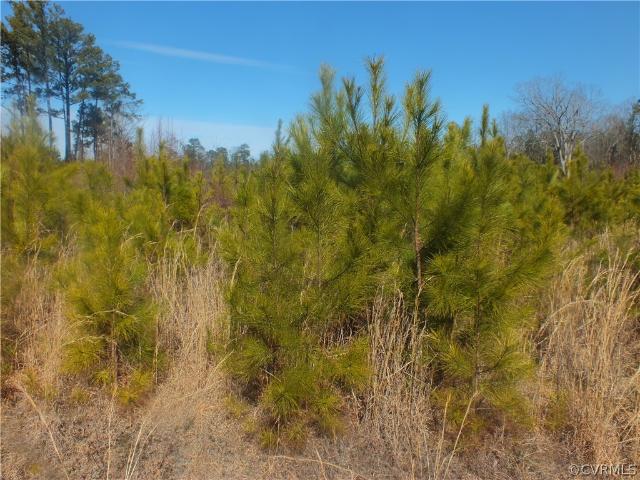 Land for sale in Virginia