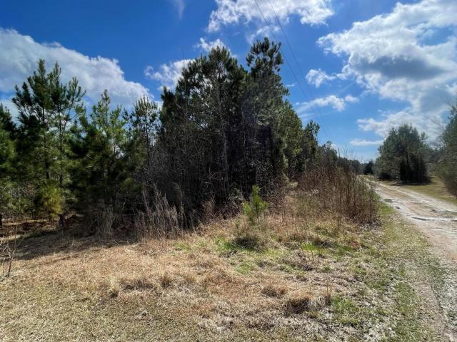 Land for sale in Bolivia, North Carolina