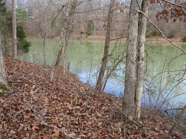 Land for sale in Tennessee