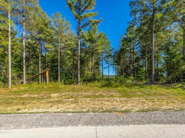 Land for sale in East Tennessee, Tennessee