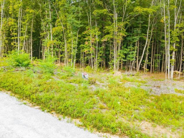 Land for sale in Tennessee