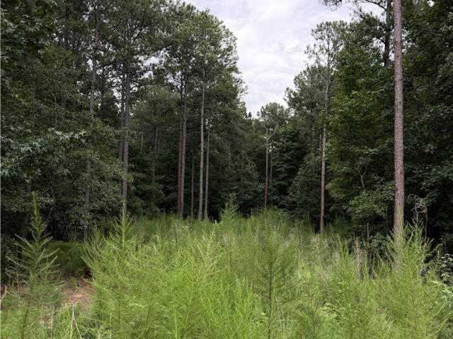 Land for sale in Hull, Georgia