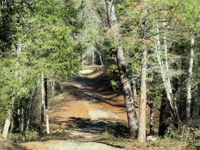 Land for sale in Foresthill, California