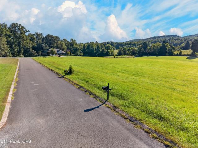 Land for sale in Spring City, East Tennessee