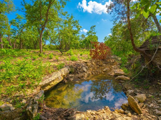 Farm for sale in Hays, Texas