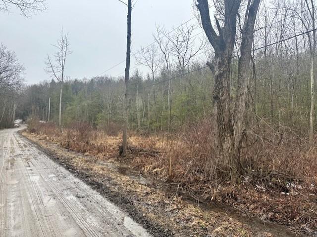 Land for sale in New York