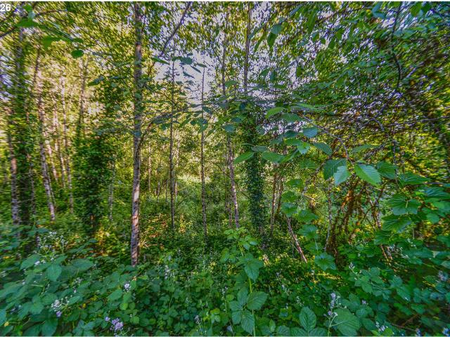 Land for sale in Oregonia