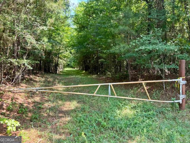 Land for sale in Union Point, Georgia