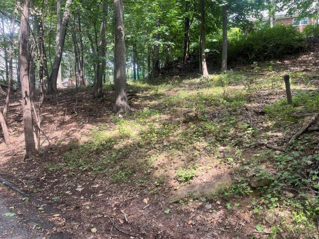 Land for sale in Ardsley, New York