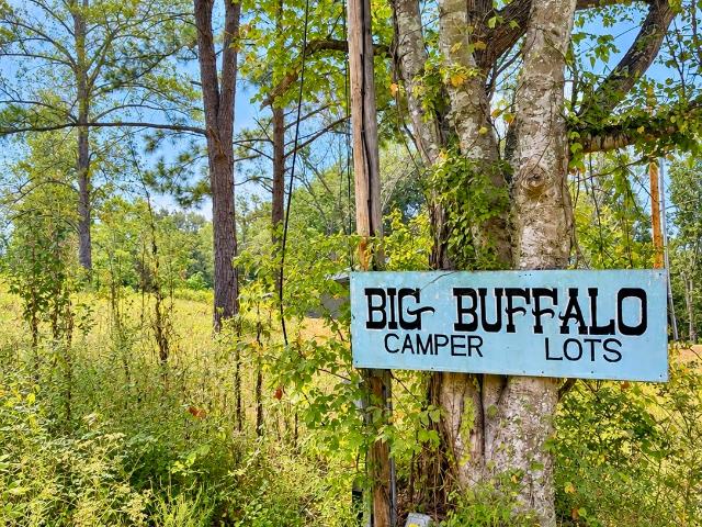 Land for sale in Linden, Middle Tennessee