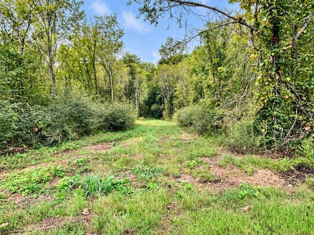 Land for sale in Linden, Middle Tennessee