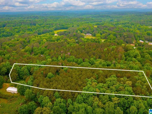 Land for sale in Blount, Alabama