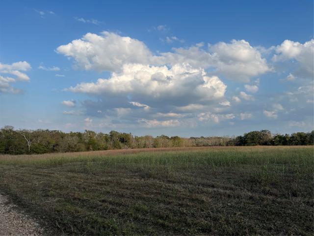 Land for sale in New Ulm, Texas