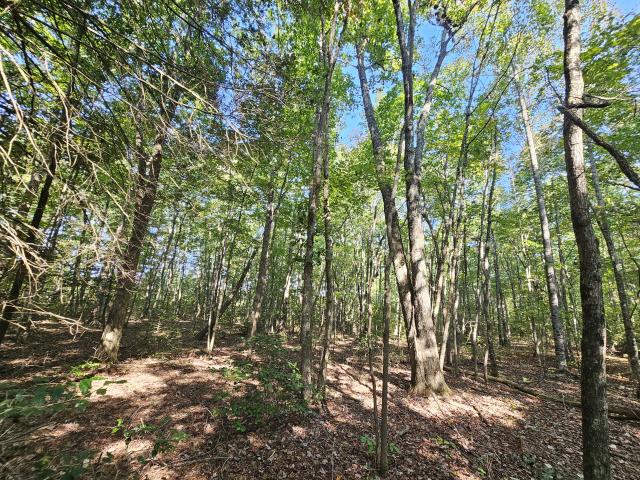 Land for sale in Tennessee