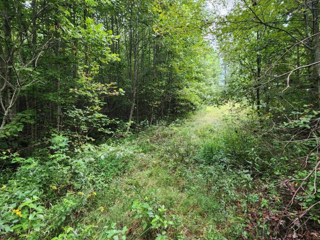 Land for sale in Tennessee
