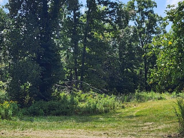 Land for sale in Tennessee